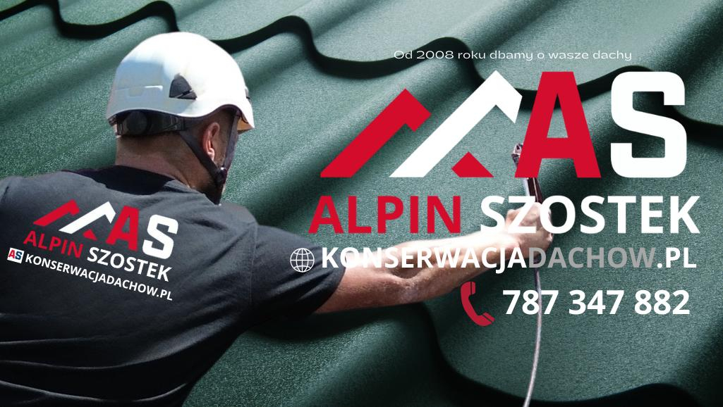 Zdjęcie na okładce dla ALPIN SZOSTEK MALOWANIE DACHÓW